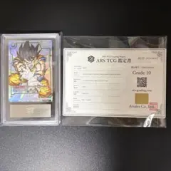 ARS10+ 鑑定書付き】孫悟空 FB09-079 - メルカリ
