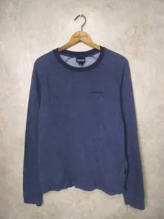 パタゴニア P-6ロゴスウェットシャツ◆メンズSサイズ(実寸M程度)