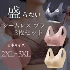 美胸 3枚セット 2XL~3XL 着痩せ ナイトブラ シームレス