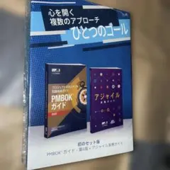 2026年最新】PMBOK ガイドの人気アイテム - メルカリ