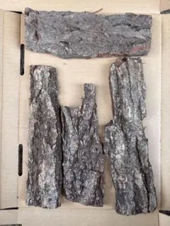 Item thumbnail for item cd8bddc8-1d62-4b84-a7bd-346afd19a093