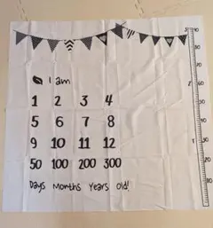 Item thumbnail for item 66dbeb08-1163-4a36-9364-8594c0c58f65