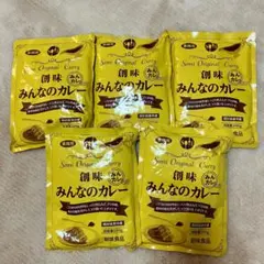 業務用レトルトカレー【創味】みんなのカレー200g × 5袋のサムネイル