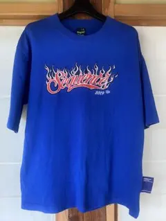 Item thumbnail for item c06953b4-d7be-4604-8cc4-30ac6793ba4a