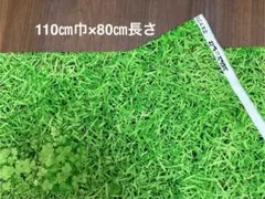 Item thumbnail for item 7c98bbef-c0e1-4ef8-8abf-1ee87ec94716