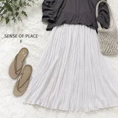 SENSE OF PLACEワッシャープリーツロングスカート ウエストゴム Fのサムネイル