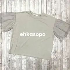 美品 ehkasopo エヘカソポ Tシャツ レース袖 ガーリー 胸ポケットのサムネイル
