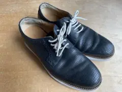 【希少】定価4万コールハーン人気ルナグランドプレーントゥ黒パンチングレザー8.5のサムネイル