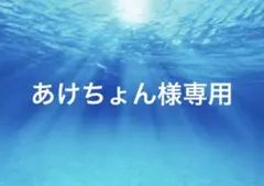 あけちゃん様 リクエスト 2点 まとめ商品