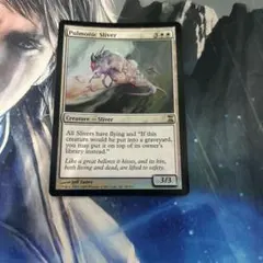 tkc様 リクエスト 2点 まとめ商品