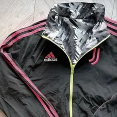 Item thumbnail for item 19c4534b-f428-4132-a76c-e8dbfb135584