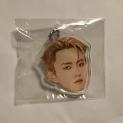 【INI 田島】カプセルトイ　ガチャガチャ　アクリルキーホルダー　顔