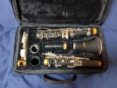 Item thumbnail for item 48da92a4-cd30-412e-a9c0-b0eb547ad76c