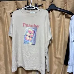 earth music & ecology レディース　半袖Tシャツフリーサイズ