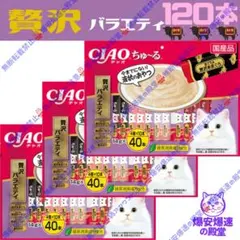 彩都レディースクリニック 紹介カード - メルカリ
