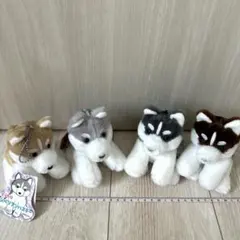 くったりシュナウザー ウェルカム 全4種セット - メルカリ
