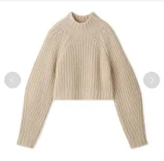 LILYBROWN ミドルゲージクロップドニットトップス