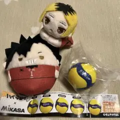 ハイキュー　ふわコロリン　黒尾　ハグキャラ　研磨　ガチャ　ミカサバレーボール