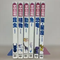 Item thumbnail for item 3f405c66-c1ae-4dff-96a1-f99f43cdacde