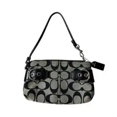 coach signature accessory porch canvasのサムネイル