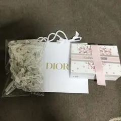 Dior ギフト袋 ショッパー　さくら　蝶　2026