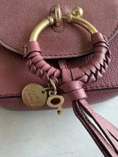 See by Chloe カメラバッグ　ピンク ショルダーバッグのサムネイル