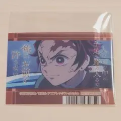 鬼滅の刃 クリアカード アニメイトフェア 炭治郎