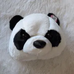 Item thumbnail for item 63fb4df6-1ae7-4289-8a31-60a8bbb14c77