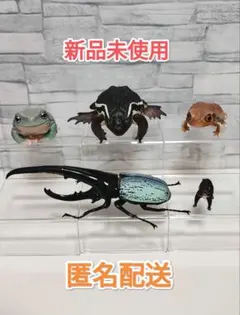 ヒキガエル イエアメガエル ヘラクレスオオカブトのフィギュアセット