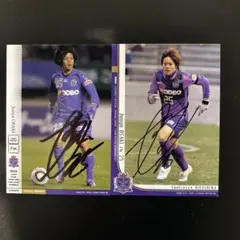 Item thumbnail for item 7f0881b4-0ba8-4335-9cd0-30b0d6b2290c