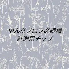 ゆん※プロフ必読様　専用ページ