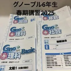 2026年最新】グノーブル理科の人気アイテム - メルカリ