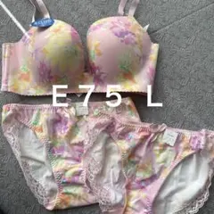 新品未使用 aimerfeel 超盛ブラ Ｅ７５Ｌ ショーツ２枚セット
