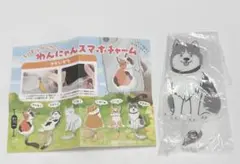 わんにゃんスマホチャーム はすきー
