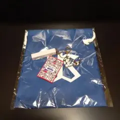 Item thumbnail for item 2618c60b-7ff8-42c2-bc54-2a6227a1d5aa