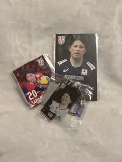 バレーボール男子日本代表 オリジナルラベル缶 ウーロン茶 山本智大