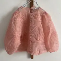 ZARA ザラ　花柄　立体フリル付き ピンク　シースルー　七分袖トップス