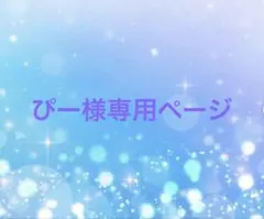 ぴー様専用ページ