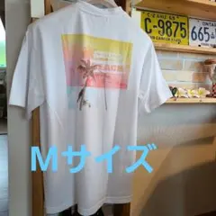 Item thumbnail for item 1346c228-2f21-4e0a-9d8c-08b3f8b37ece