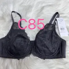 トリンプ 美胸ホールドブラ フルカップブラジャー ダークブラウン C85