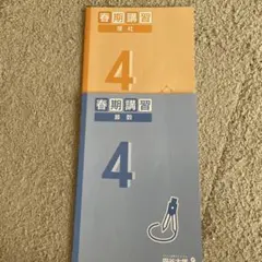 2026年最新】四谷大塚 予習シリーズ 4年の人気アイテム - メルカリ