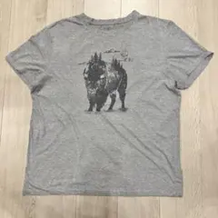 バッファロー　グラフィック　プリント　Tシャツ グレー　アニマル　アメカジ