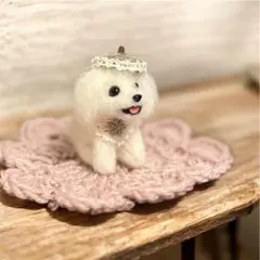 2025年最新】羊毛フェルト マルチーズの人気アイテム - メルカリ