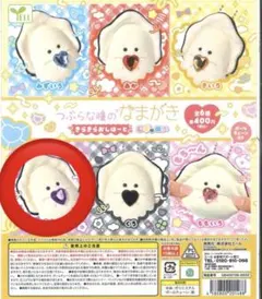 2026年最新】なまがき おしはーとの人気アイテム - メルカリ