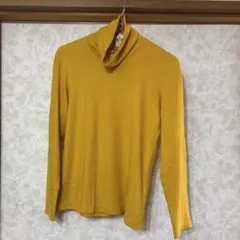 Item thumbnail for item c8f2bbc8-d9e0-4f5a-a9a9-fb7540590829