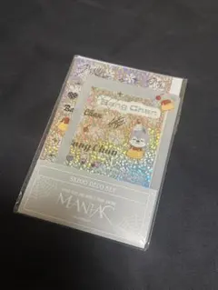 Stray Kids SKZOO DECO SET Bang Chan