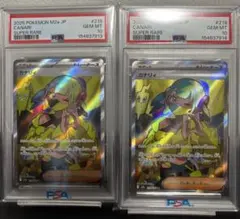 PSA10】メガドリーム カナリィ sr - メルカリ