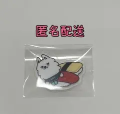 TXT スビン プルバトゥ アクリルバッジ 東京 ヨンモン