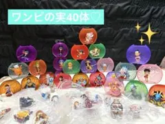 【まとめ売り】ワンピの実　40体