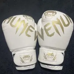 Item thumbnail for item dd6b5f20-99c2-4033-a881-bc399bae9376